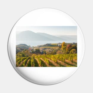 Autumn in the Vineyards at Naramata Bench Pin