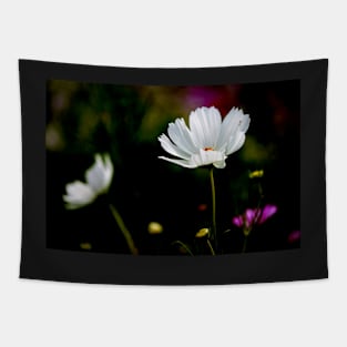 White Cosmos Tapestry