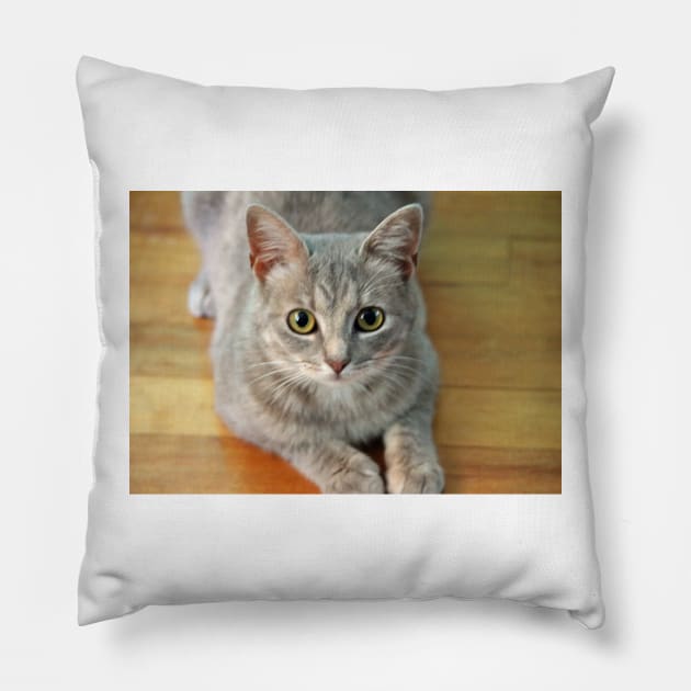 Hattie The Kitty Pillow by Cynthia48