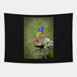 Painted Bunting Male Bird in Florida Tapestry