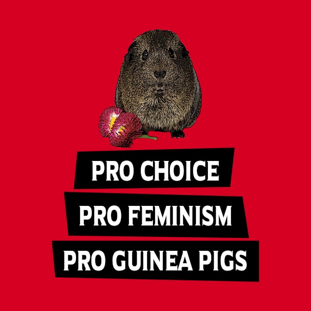 Pro Choice, Pro Feminism, Pro Guinea Pigs by BasicBeach