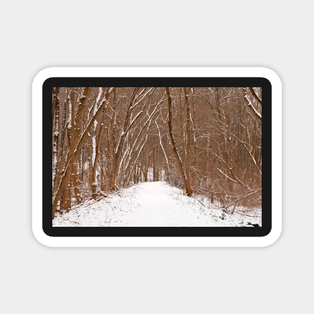 Winter Forest Tipi Trail Magnet by somadjinn