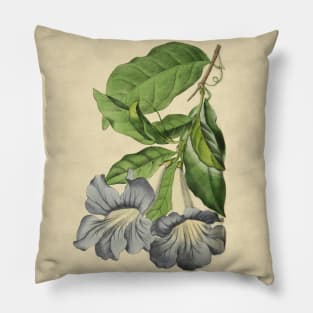 Beautiful Tacoma With Details Pillow