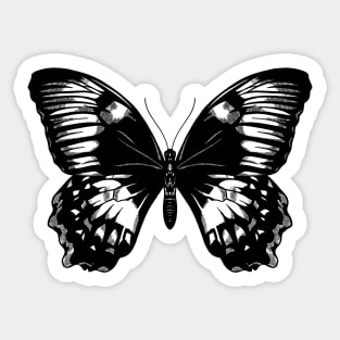 black butterfly Sticker by StephAv