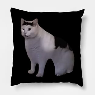 Huh Cat Meme Pillow