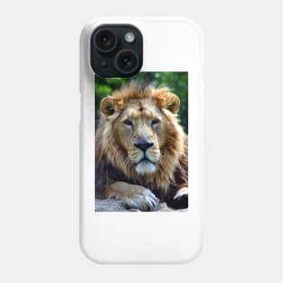 Asiatic Lion Panthera Leo Persica Big Cat Male Phone Case