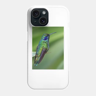 Green Violetear Hummingbird - Costa Rica Phone Case