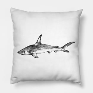 Shark of the sea Pillow