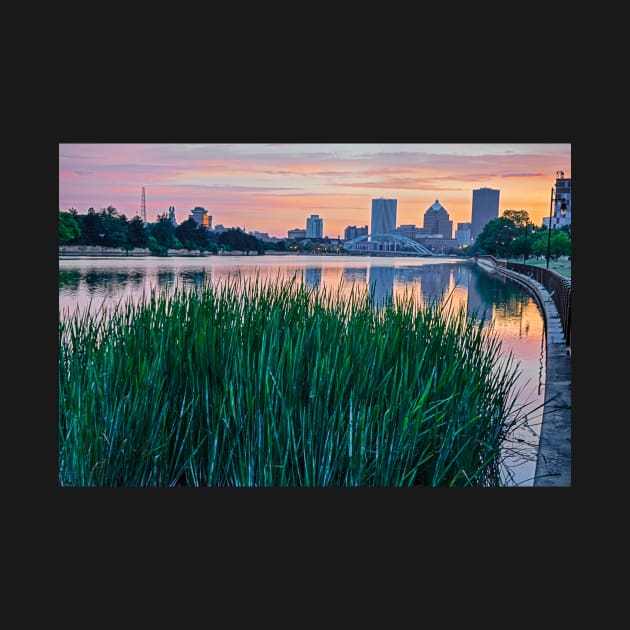 Rochester NY Skyline at Sunrise Rochester NY Genesee River Grass by WayneOxfordPh