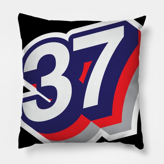 37 Pillow by MplusC