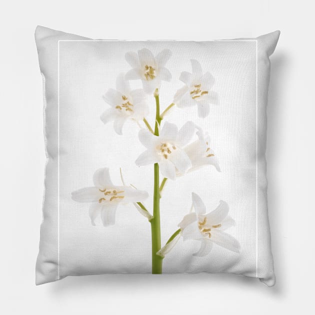 White bluebell Pillow by rheyes