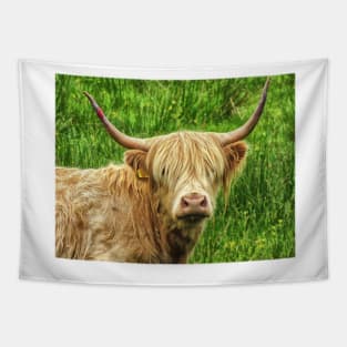 Highland cow in the green grass Tapestry