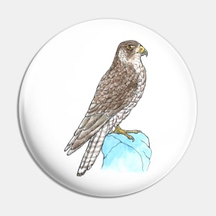 Peregrine Falcon Pin