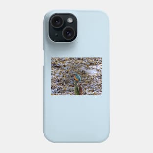 SO WE PERCHED FOR BREAKFAST Phone Case