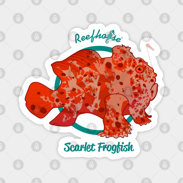 Scarlet Frogfish Magnet by Reefhorse