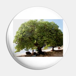 Beach Tree Pin