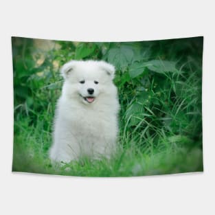 Samoyed puppy portrait Tapestry