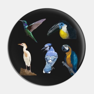 Five Bird Detailed Illustration Pack Pin