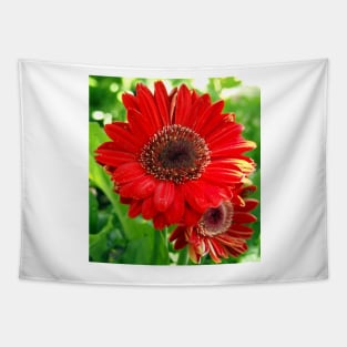 Giant Red Gerber Daisy Flower in the Garden Tapestry