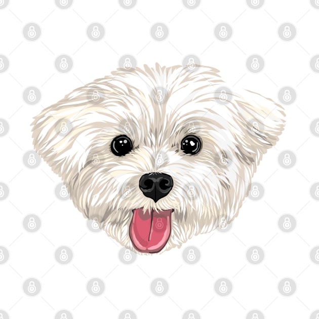 Maru the Maltese (face only) by MichellePhong