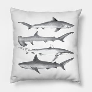 Whale - Whales Vintage Image Pillow