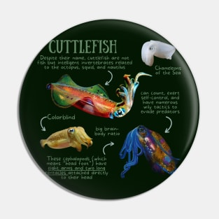 Animal Facts - Cuttlefish Pin