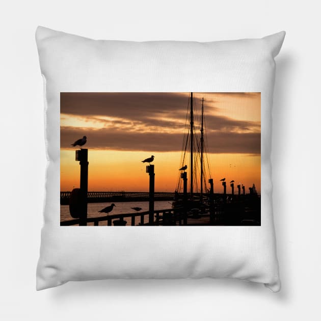 Silhouetted seagulls at sunrise Pillow by Violaman