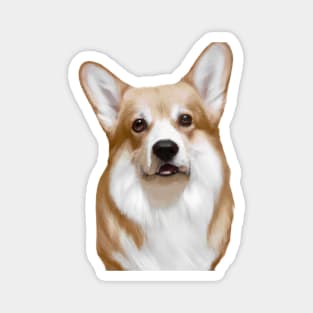 Cute Corgi Drawing Magnet