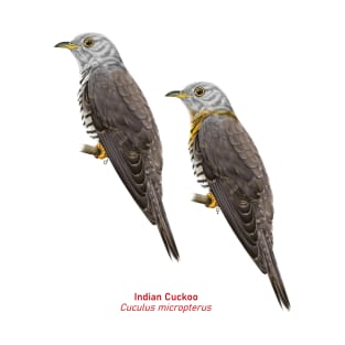 Indian Cuckoo | Cuculus micropterus ⚥ T-Shirt