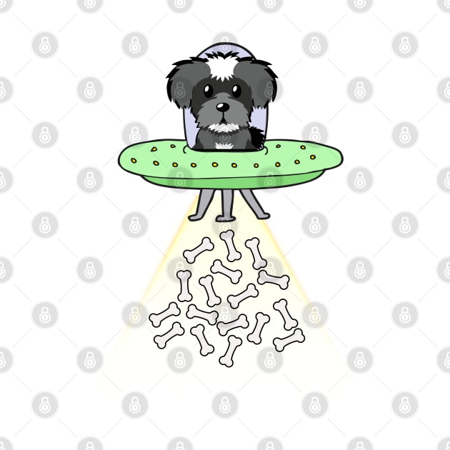 Funny schnauzer dog is flying a ufo by Pet Station