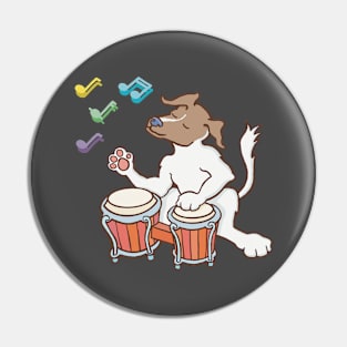 Jack Russell playing on a bongo drum. Pin