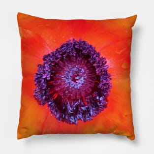 Beautiful Orange Poppy - Centre of the Flower - Early Spring Blooms Pillow