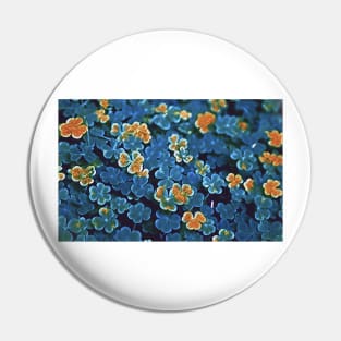 Blue Clover Pin