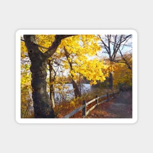 Autumn Path in the Park Magnet