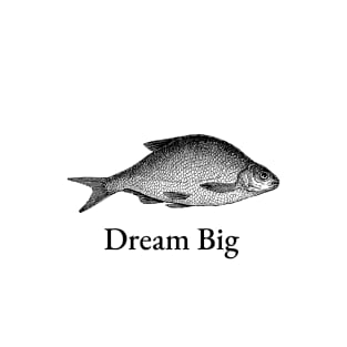 Dream Big T-Shirt