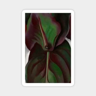 High Resolution Canna Leaves by Georgia O'Keeffe Magnet