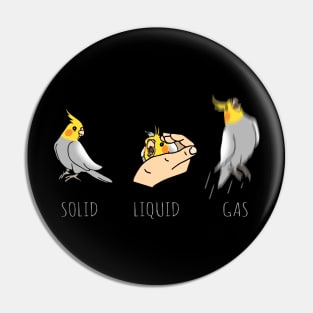 three shapes of the birb Pin