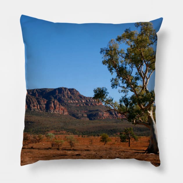 Flinders Ranges Outback Pillow by jwwallace