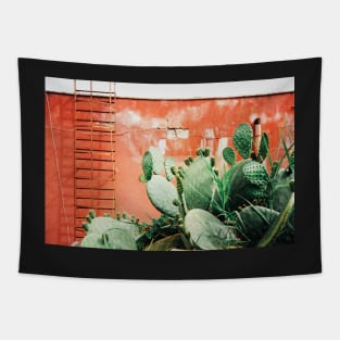 Closeup on Cacti Growing in Front of Shabby Red Wall Shot on Porta 400 Tapestry