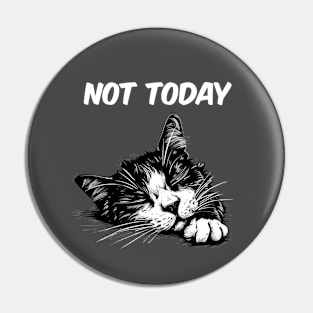 Not Today Funny Cat Pin