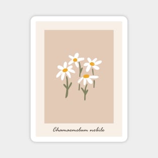 Cute chamomile art, Flower market, Retro print, Cottagecore, Posters aesthetic, Abstract white flowers Magnet