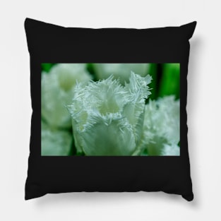 TULIP Pillow