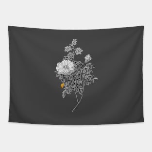 Black and Gold Leaf - Blooming Ventenat's Rose - Vintage Botanical Tapestry