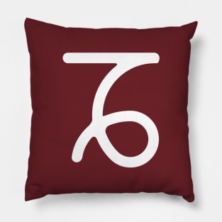 Capricorn Zodiac Sign Pillow