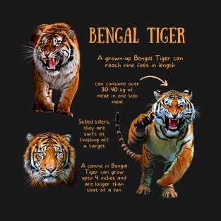 Animal Facts - Bengal Tiger T-Shirt