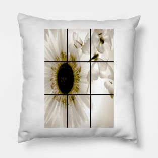 Transparent_flower in Frames Pillow