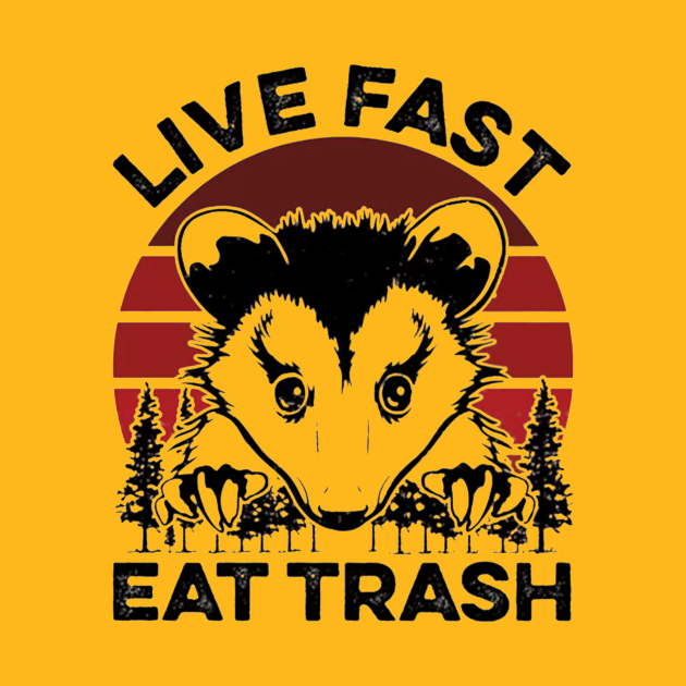 Discover Let's Eat Trash - Meme Racoon Animal Funny Mouse Junk - T-Shirt