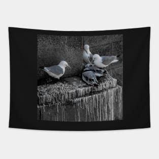 Tyne Bridge - Nesting Kittiwakes Tapestry