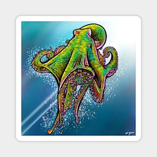 Octopus 09 Magnet