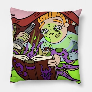 Reading Pillow